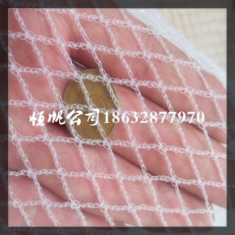 <a href='/index_cate_cid_37.html'target='_blank'>防雹网</a>
