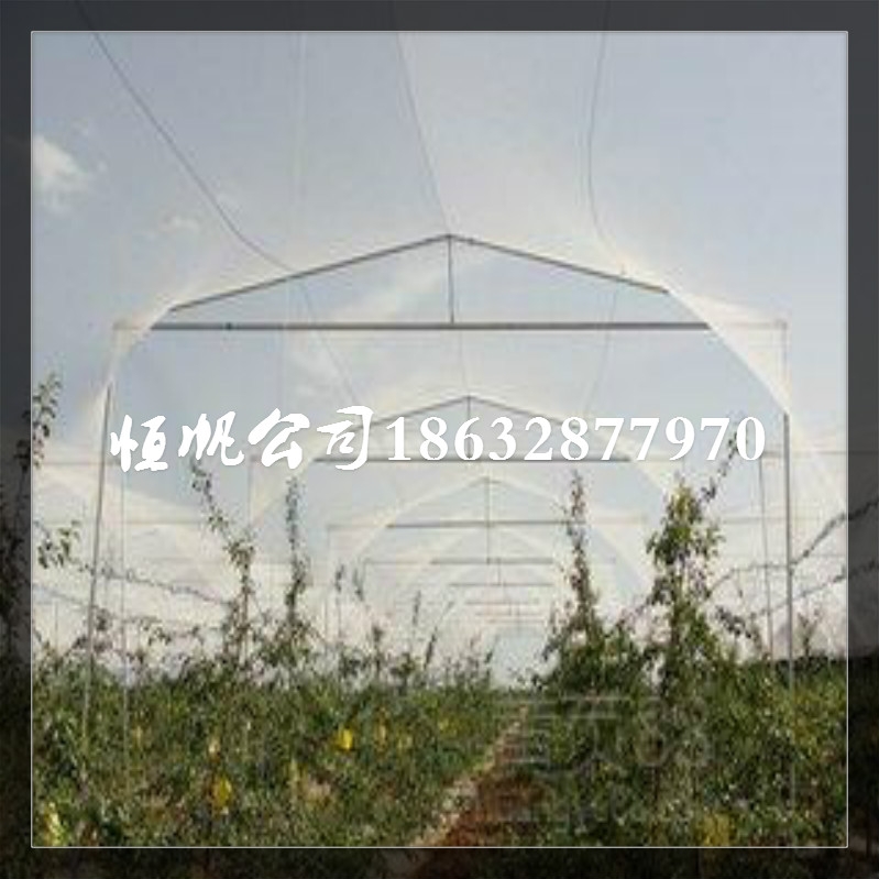 <a href='/index_cate_cid_37.html'target='_blank'>防雹网</a>