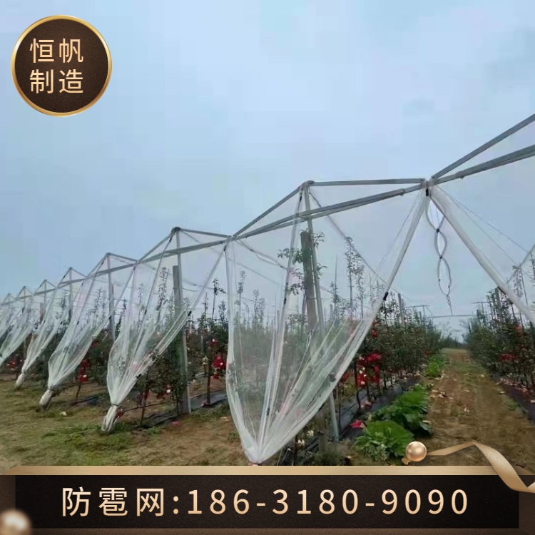 <a href='/index_cate_cid_37.html'target='_blank'>防雹网</a>