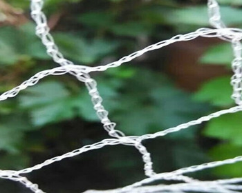 防鸟网